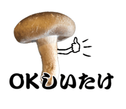 Mashroom sticker sticker #13851510