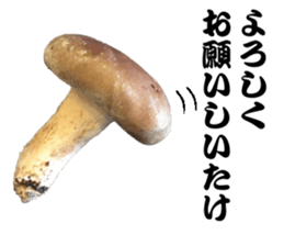 Mashroom sticker sticker #13851513