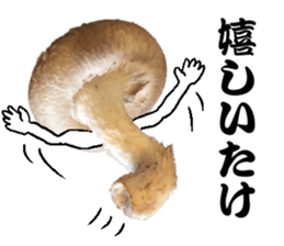 Mashroom sticker sticker #13851514