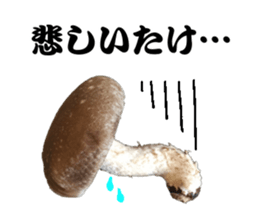 Mashroom sticker sticker #13851515