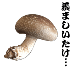 Mashroom sticker sticker #13851516