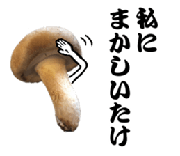 Mashroom sticker sticker #13851517