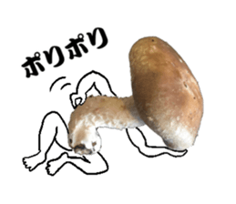 Mashroom sticker sticker #13851519