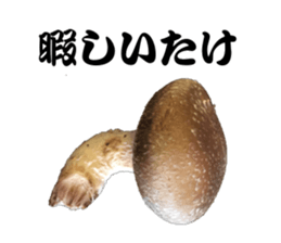 Mashroom sticker sticker #13851520