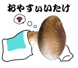 Mashroom sticker sticker #13851521