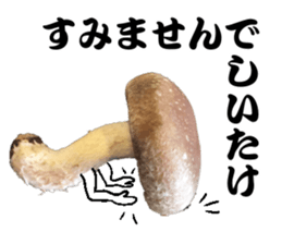 Mashroom sticker sticker #13851522