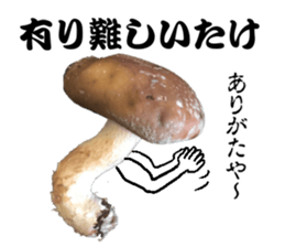 Mashroom sticker sticker #13851523