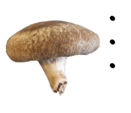Mashroom sticker sticker #13851525