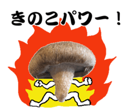 Mashroom sticker sticker #13851526