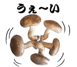 Mashroom sticker sticker #13851527