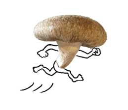 Mashroom sticker sticker #13851529
