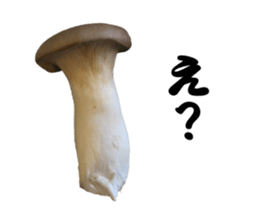 Mashroom sticker sticker #13851532