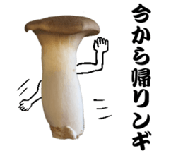 Mashroom sticker sticker #13851533