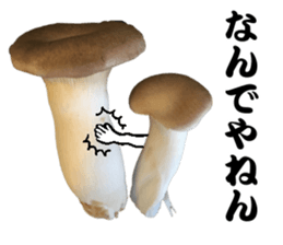 Mashroom sticker sticker #13851534