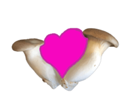 Mashroom sticker sticker #13851537