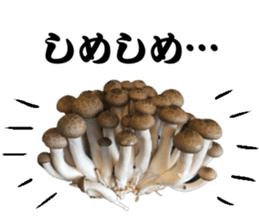 Mashroom sticker sticker #13851538