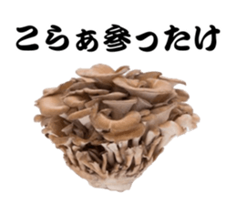 Mashroom sticker sticker #13851539