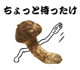 Mashroom sticker sticker #13851540