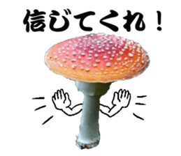 Mashroom sticker sticker #13851541