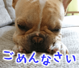 French bulldog KOMUGI Sticker sticker #13852872