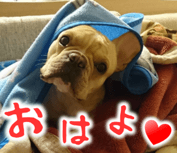 French bulldog KOMUGI Sticker sticker #13852874