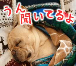 French bulldog KOMUGI Sticker sticker #13852882
