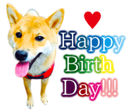 Mame of a Shiba dog. sticker #13853371