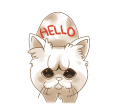 Grumpy looking white cat sticker #13854640