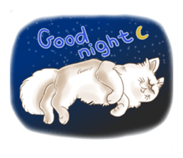 Grumpy looking white cat sticker #13854641