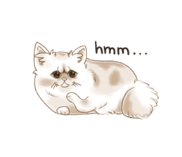 Grumpy looking white cat sticker #13854642