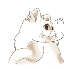 Grumpy looking white cat sticker #13854643