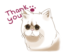 Grumpy looking white cat sticker #13854645