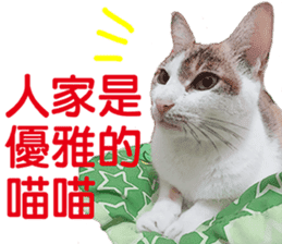 Orange kitten- real sticker #13854857