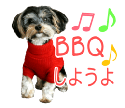 smile puppy Jackie sticker #13854952