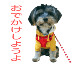 smile puppy Jackie sticker #13854971