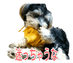 smile puppy Jackie sticker #13854979