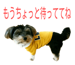 smile puppy Jackie sticker #13854987