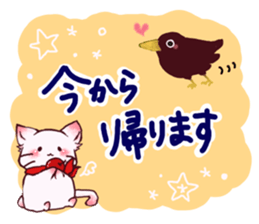 Kitten Miichan ~daily sticker #13855215