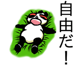Dogu Panda sticker #13856037