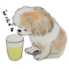 SHIHTZU REAL2 sticker #13856213