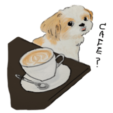 SHIHTZU REAL2 sticker #13856215