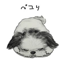 SHIHTZU REAL2 sticker #13856219