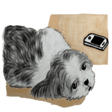 SHIHTZU REAL2 sticker #13856229