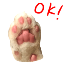 Sticker of Pathetic face Scottish Fold sticker #13857044