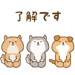 sit down Japanese style