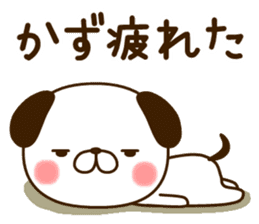 My dog"Kazu" sticker #13857826