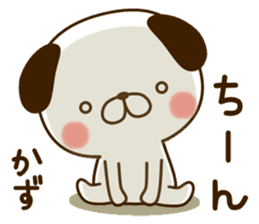 My dog"Kazu" sticker #13857851