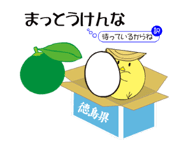 Awa dialect rooster sticker #13857940