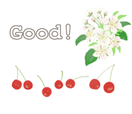 Flowers & Fruits sticker #13858459