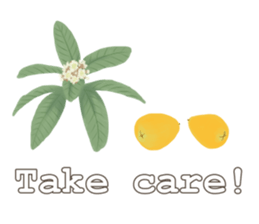 Flowers & Fruits sticker #13858468